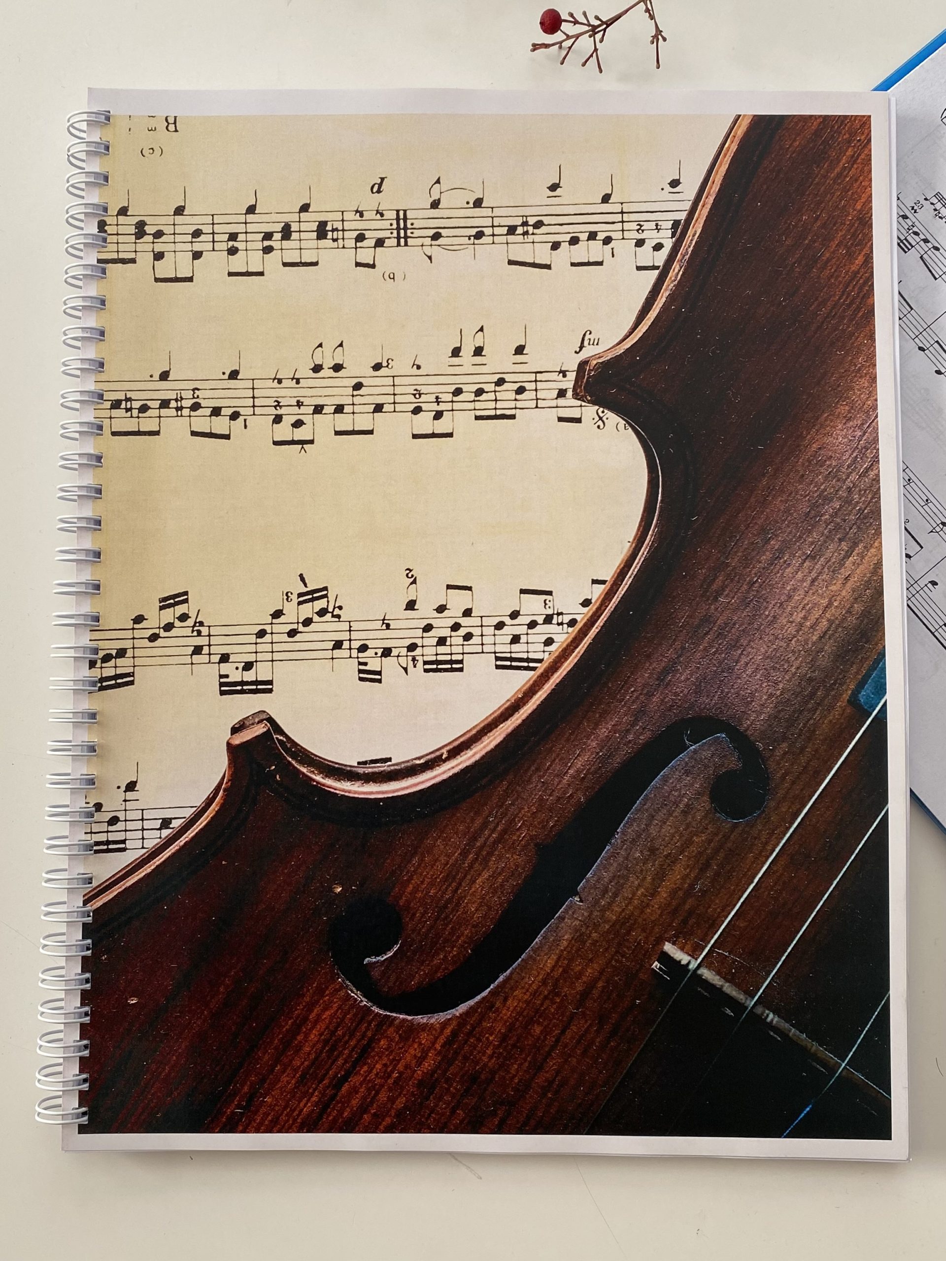 Cuaderno de Pauta - Violín